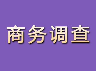 凉山商务调查